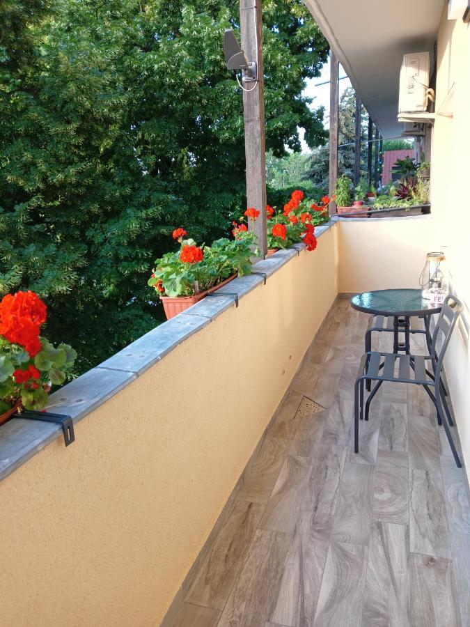 David Apartman Appartement Siófok Buitenkant foto